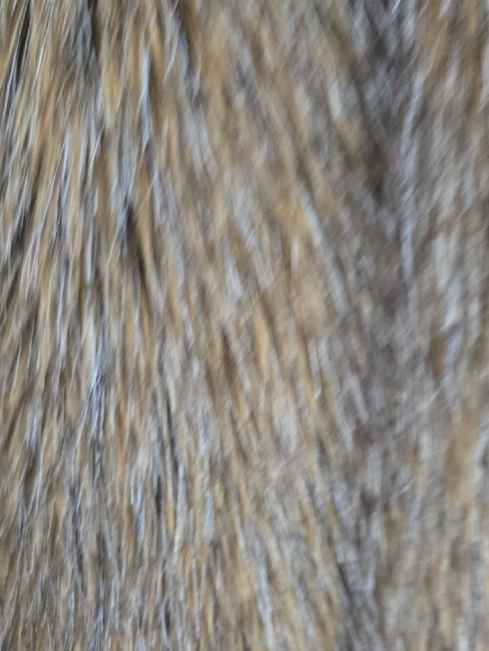 Luxe by Rachel Zoe Faux Fur Vest Retail $80 - Picture 3 of 6